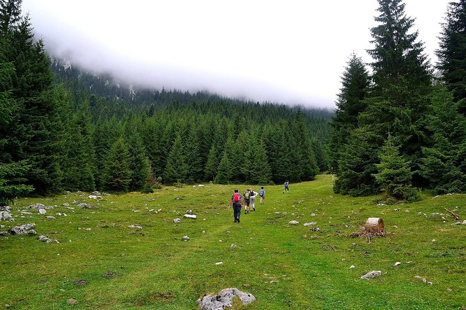 Carpathians in Romania: Piatra Craiului National Park with native Spanish guide. - Climbing to Curmatura Cabin at 1,470 Meters