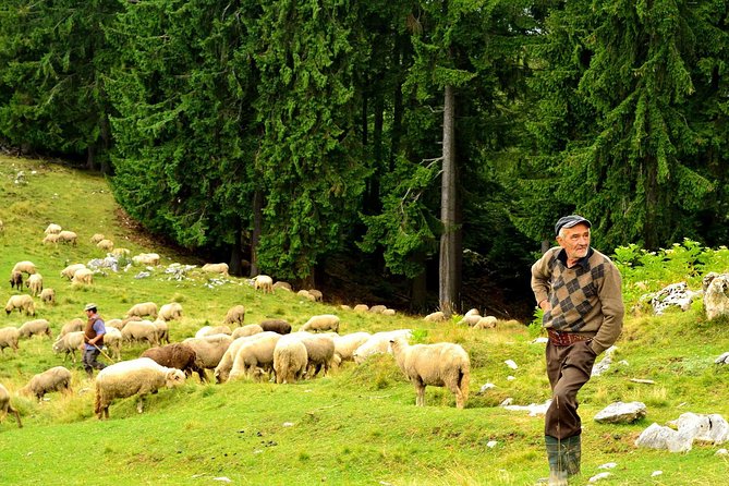 Carpathians in Romania: Piatra Craiului National Park with native Spanish guide. - What the $96.33 Price Covers