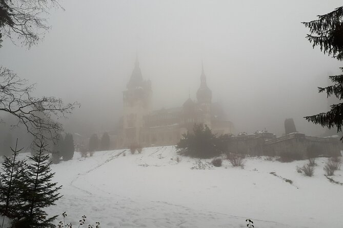 Castles Private Tour Peles - Bran - Rasnov from Brasov - Bran Castle and the Dracula question