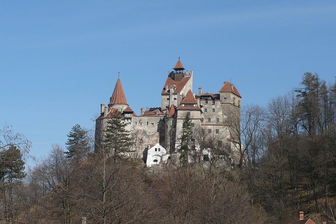 Castles Private Tour Peles - Bran - Rasnov from Brasov - What the $99.46 price includes