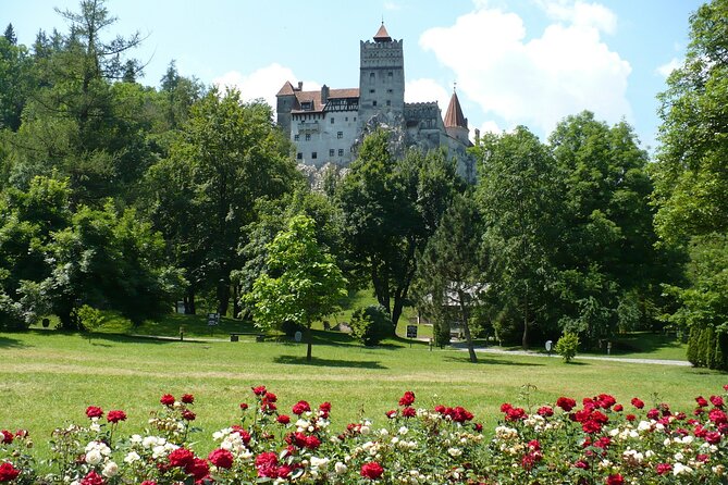 Castles Private Tour Peles - Bran - Rasnov from Brasov - Rasnov Citadel and the view over the valley