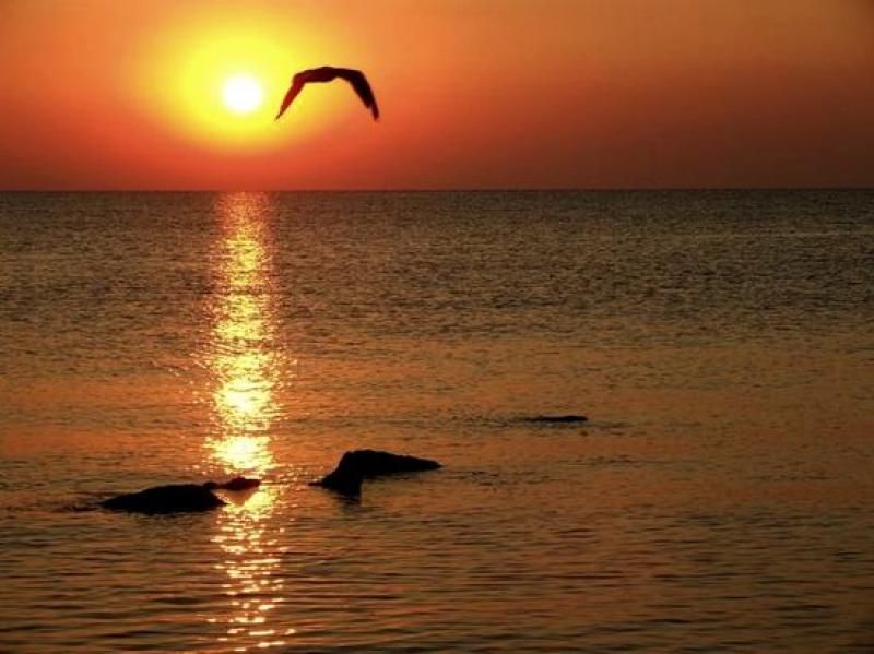Constanta: Full Day Tour from Bucharest to the Black Sea - Why Constanta makes a strong day trip from Bucharest