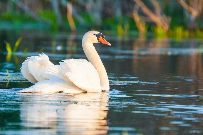 Danube Delta and Black See - 2 Days Private Tour from Bucharest - Constanta Casino seafront, one hour