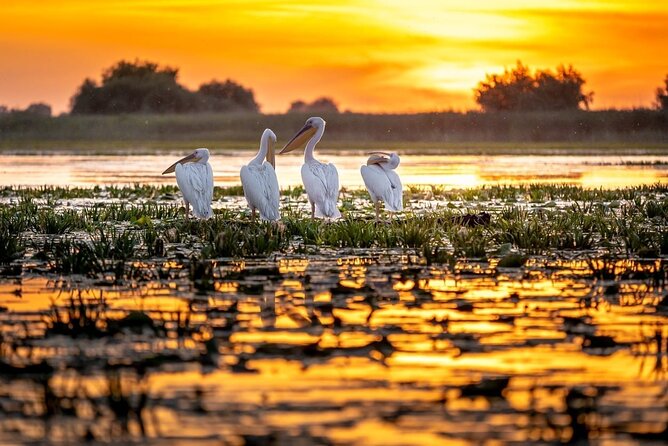Danube Delta and Black See - 2 Days Private Tour from Bucharest - Mila 23 and a local Delta lunch