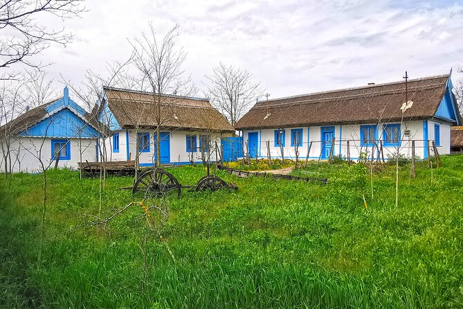 Danube Delta PRIVATE boat trip to Letea Forest (guided tour) - Letea village, where the road feels far away