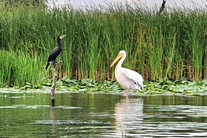 Danube Delta - Private Tour with Boat Trip & Traditional Lunch - The guides make a real difference