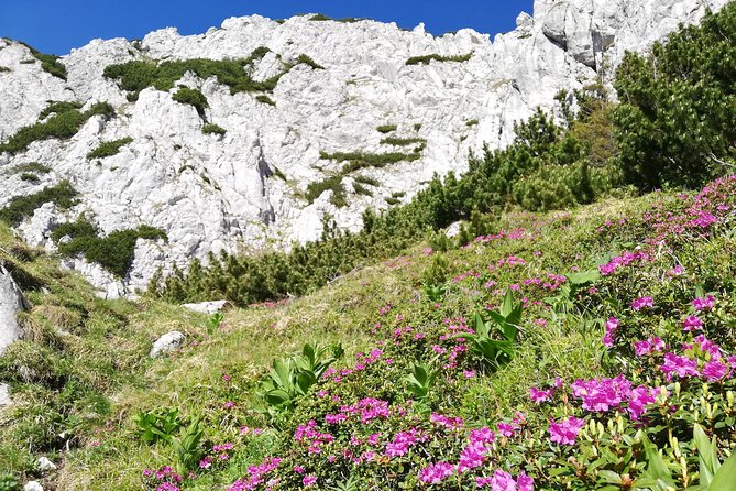 Day Hike PRIVATE - Piatra Craiului National Park - Walking through Piatra Craiului National Park