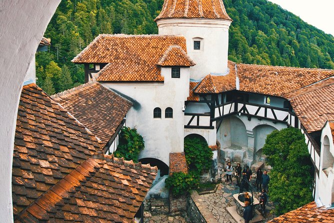Day Tour to Brasov and Bran - Who should book this day from Sibiu?