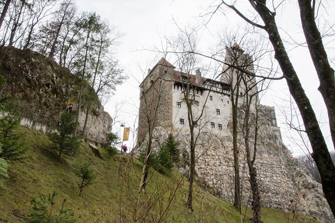 Day Trip Bear Sanctuary, Bran Castle, Rasnov Fortress from Brasov - Why this three-stop route works from Brasov