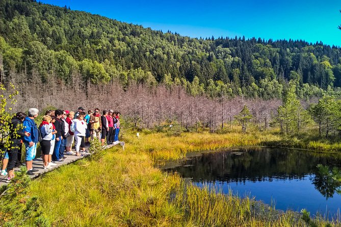 Day Trip & Bear Watching in the Land of Volcanoes - Why this Brasov day trip feels different
