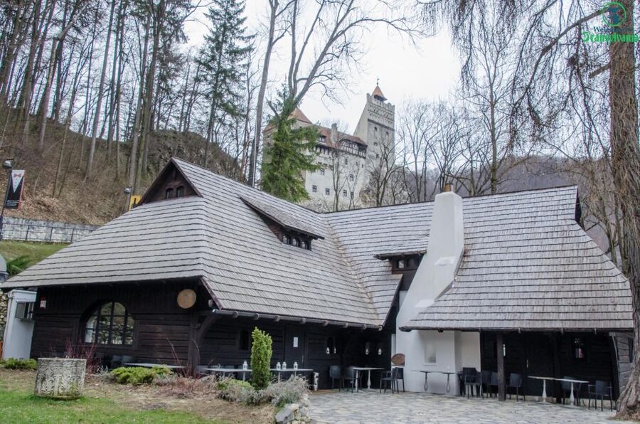 Day trip Bran Castle, Rasnov Fortress and Bear Sanctuary - Should you book this Transylvania day trip?