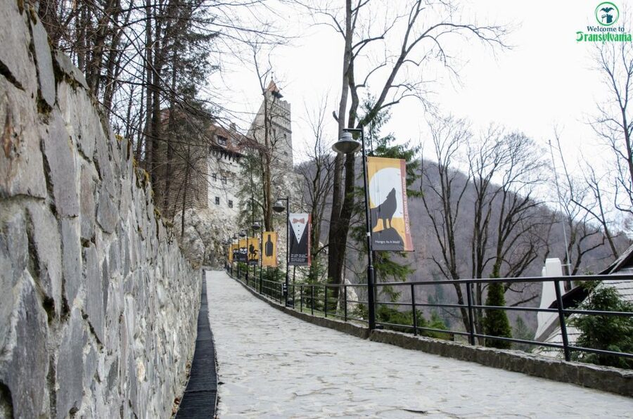 Day trip Bran Castle, Rasnov Fortress and Bear Sanctuary - Why this Brasov day trip works
