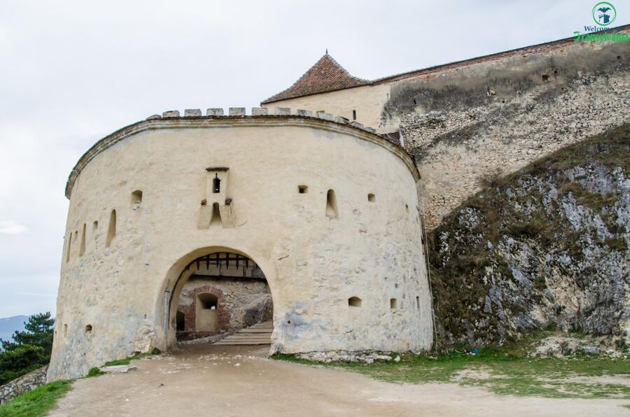 Day trip Bran Castle, Rasnov Fortress and Bear Sanctuary - Six hours in a van, not a full-day coach trip
