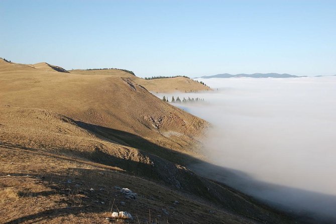 Day trip on Quad ATV - Transylvanian outdoor adventure - Starting at 8:30 am in Păltiniș-Ciuc