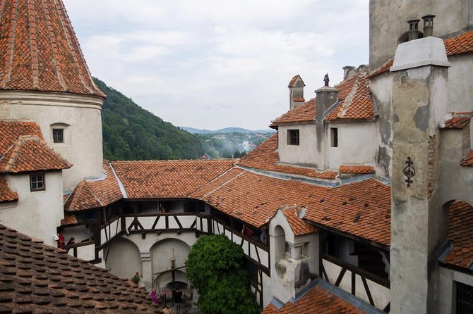 Dracula and Peles Castles Premium Tour with Hotel pick-up - Peles Castle: the grand royal contrast