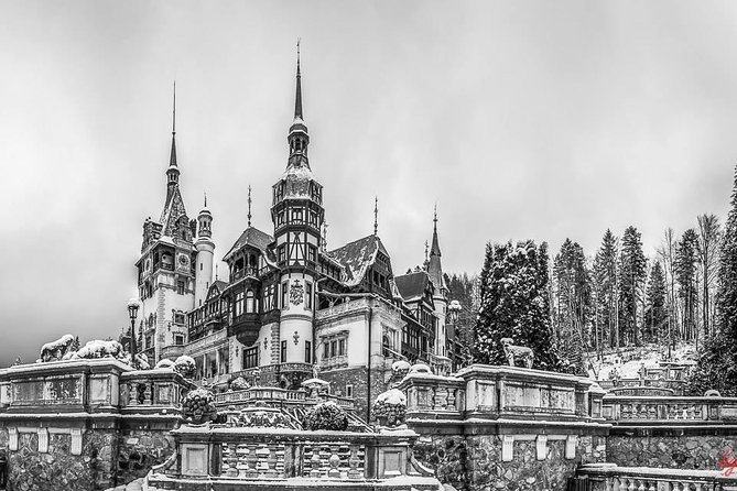 Dracula's Castle, Peles Castle and Brasov - Private Day Trip from Bucharest - Who should book this day trip
