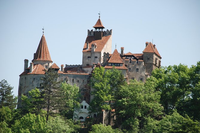 Dracula's Castle & Peles Palace Tour from Bucharest Including Brasov Old Town - Lunch near Sinaia, Paraul Rece, or Bran