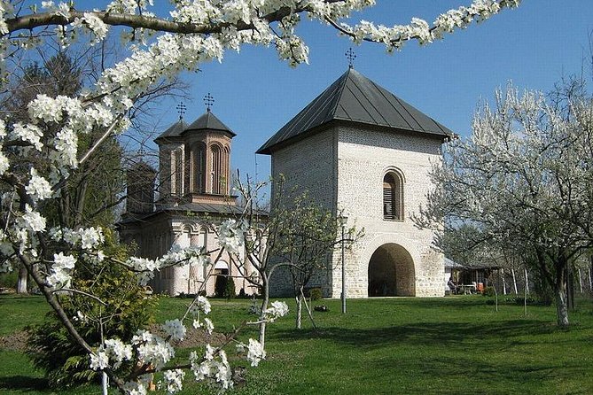 Dracula's Tomb and Mogosoaia Palace, Private Tour from Bucharest - What the private format changes