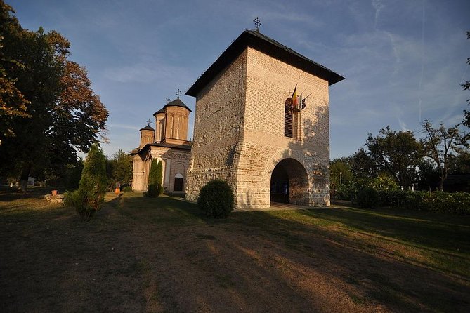 Dracula's Tomb and Mogosoaia Palace, Private Tour from Bucharest - Timing, weather, and practical expectations