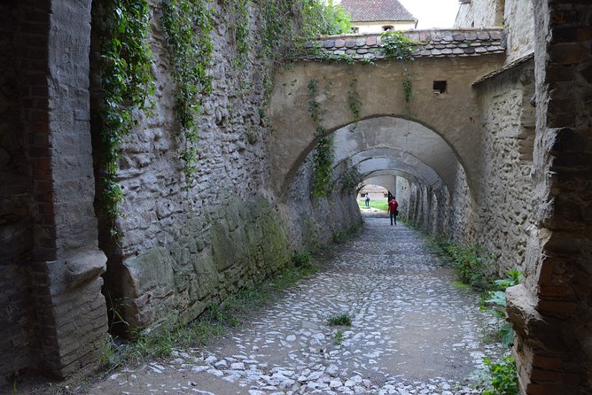 Exclusive tour: Sighisoara, Medias and Biertan tour from Sibiu - Guide quality and the feel of the day