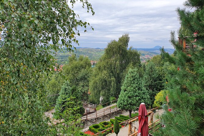 Executive Dracula Day Trip - See Bran & Peles Castle, Brasov from Bucharest - What the private format really gives you