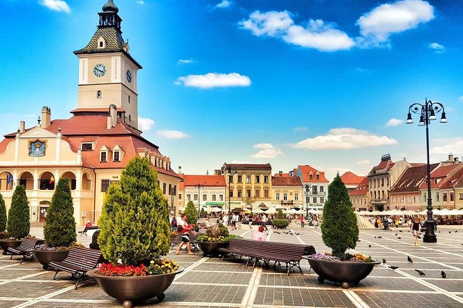 Explore Transylvania: Dracula, Peles Castle & Brasov Private Tour - What the $260.15 Price Really Buys You