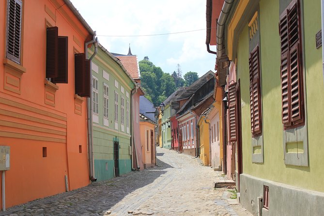 Fortified Church of Viscri and Sighisoara in Spanish (native Spanish guide). - Three hours inside Sighisoara’s medieval citadel