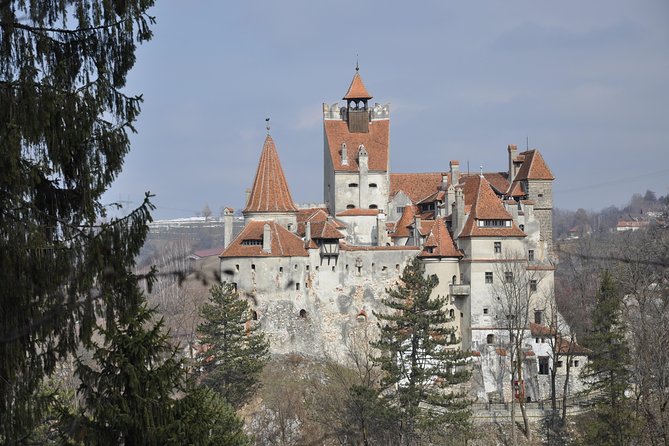From Brasov: Discover Bran Castle and Râșnov Fortress - Rasnov offers views, ruins, and a major current limitation