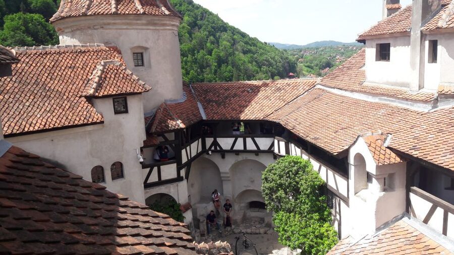 From Brasov: Peles Castle, Bran Castle & Cantacuzino Castle - Peles Castle: the grand opening act