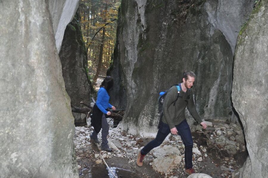 From Brasov: Piatra Craiului National Park Private Day Tour - The guides make the difference