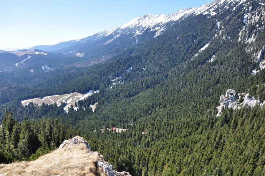 From Brasov: Piatra Craiului National Park Private Day Tour - Seeing rural life beyond the trail
