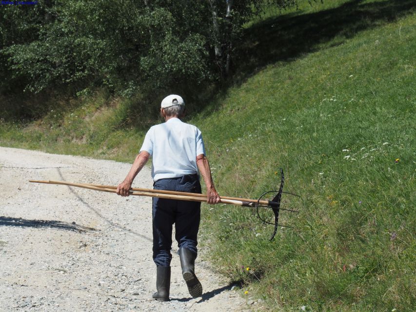From Brasov: Romanian Mountain Villages Day Tour - Key points at a glance