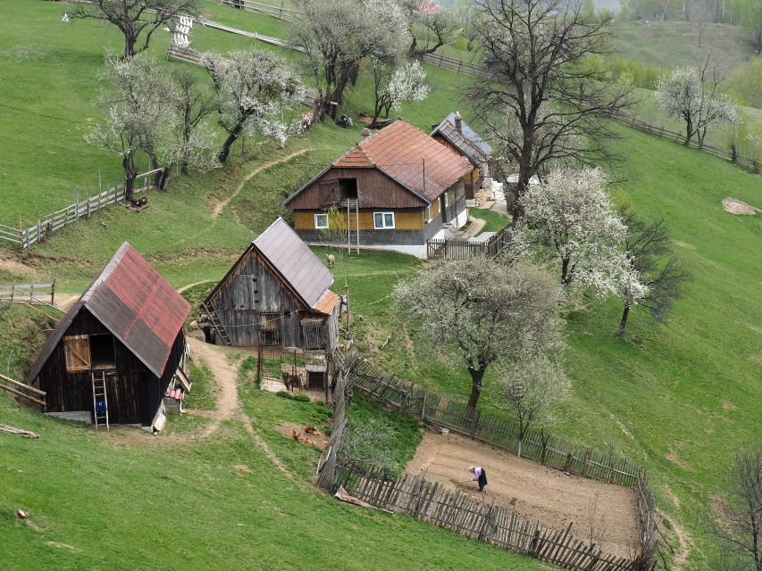 From Brasov: Romanian Mountain Villages Day Tour - Hiking from Magura through open hills