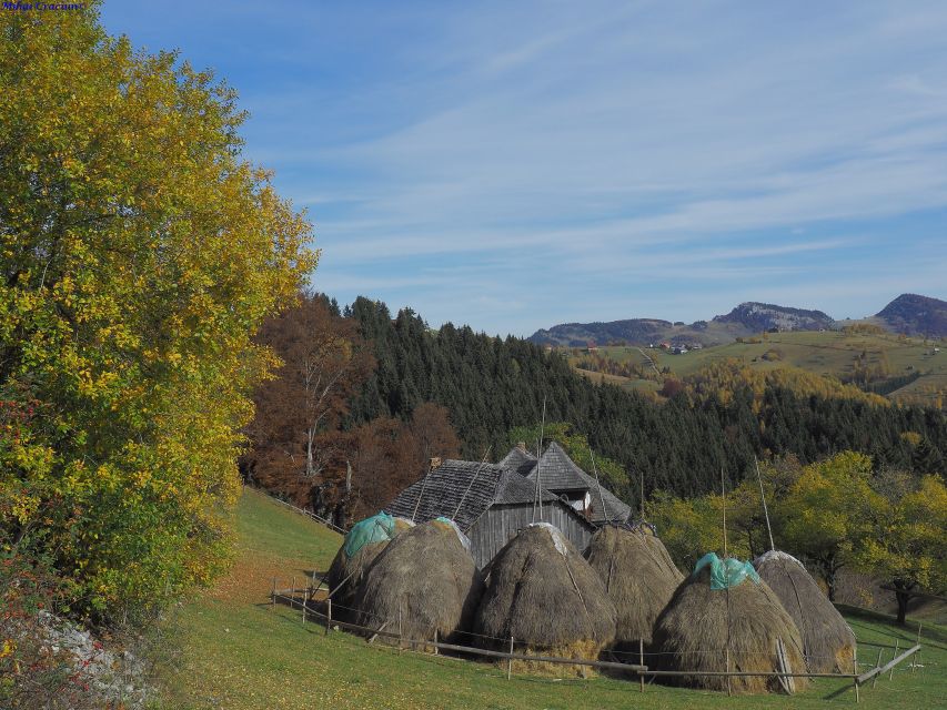 From Brasov: Romanian Mountain Villages Day Tour - Guides, pace, and group atmosphere