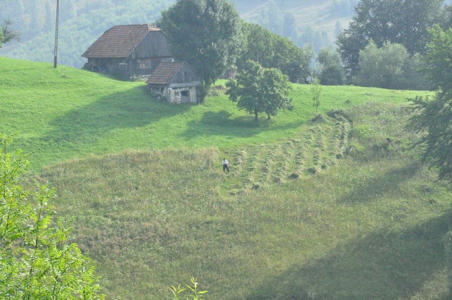 From Brasov: Romanian Mountain Villages Day Tour - Is $116 good value?