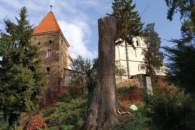 From Brasov: Sighisoara and Sibiu with Hotel Pick up and Drop off - What the private format changes