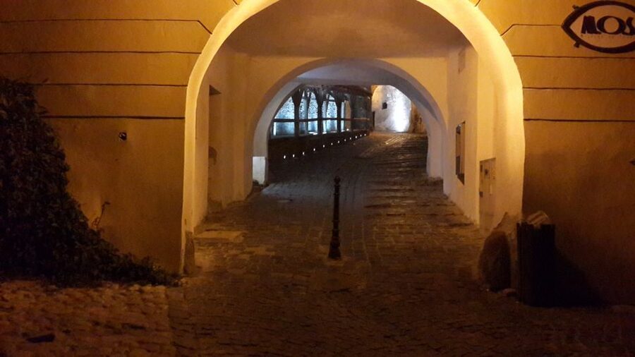 From Brasov: Sighisoara and Viscri UNESCO Day Tour - Who should book this day tour?