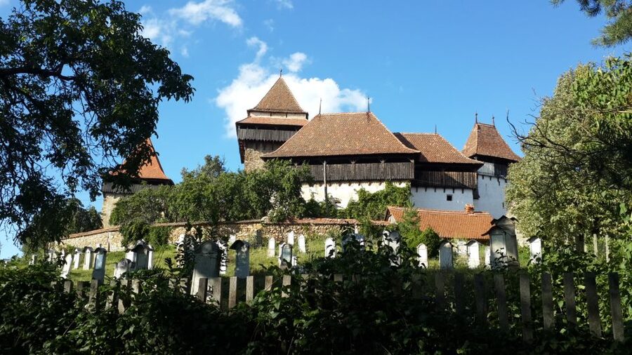 From Brasov: Sighisoara and Viscri UNESCO Day Tour - Lunch, local food, and free time