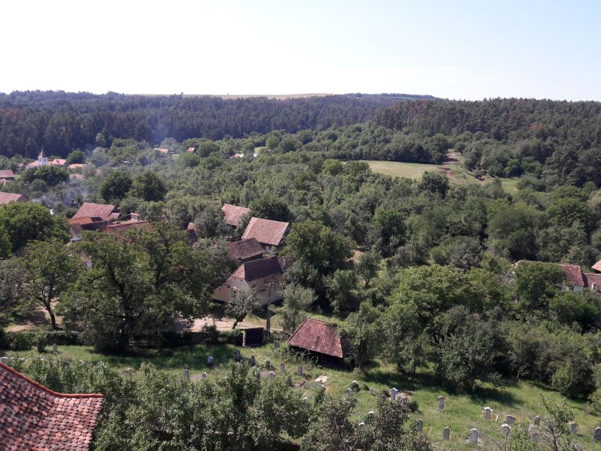 From Brasov: Sighisoara, Viscri, and Rupea Unesco Day Trip - Viscri’s white church and Saxon village lanes