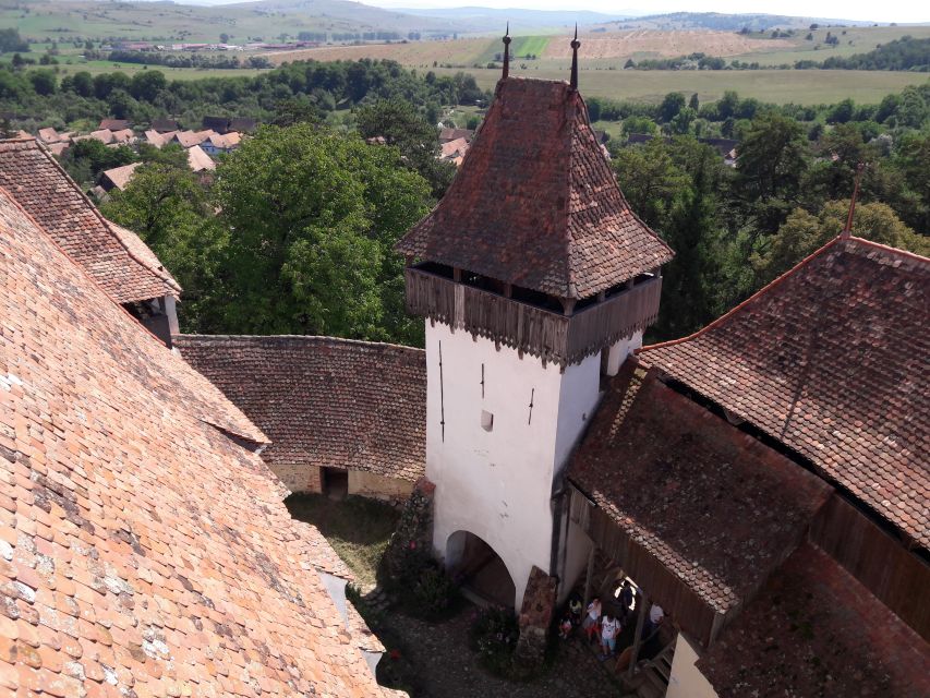 From Brasov: Sighisoara, Viscri, and Rupea Unesco Day Trip - Who should book this day trip?