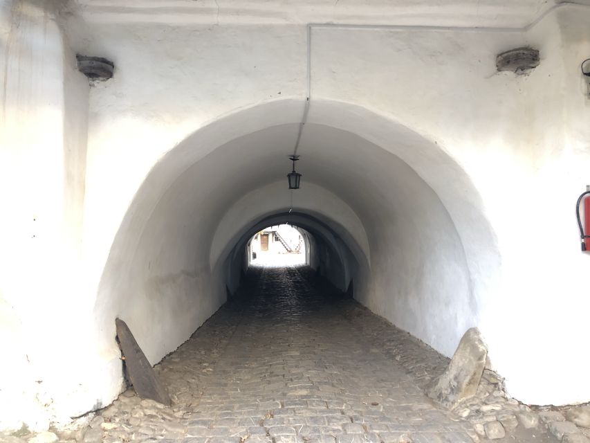 From Brasov: Small-Group Half-Day Fortified Churches Tour - Why these fortified churches matter