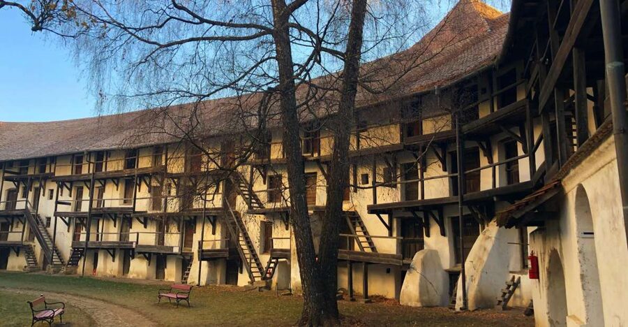 From Brasov: Small-Group Half-Day Fortified Churches Tour - What the guide adds to the experience