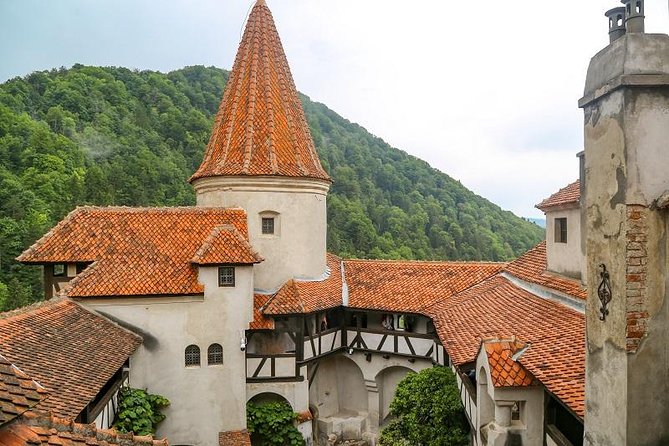 From Brasov: Small-group tour Bran, Rasnov, and Peles Castles - Rasnov Fortress: know what is open now