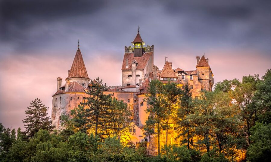 From Bucharest: A Taste of Transylvania: Private Tour - Small details that improve the day
