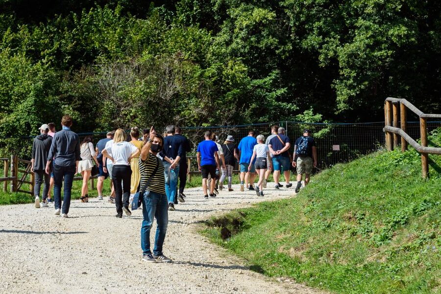 From Bucharest: Bear Sanctuary and Dracula Castle Day Tour - Bran Castle and the Dracula question