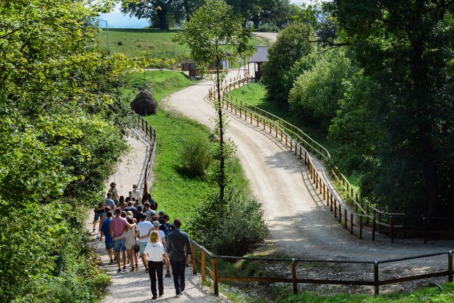 From Bucharest: Bear Sanctuary and Dracula Castle Day Tour - Is $346 a fair price?