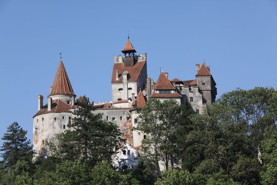 From Bucharest: Bear Sanctuary and Dracula Castle Day Tour - The guides make a practical difference
