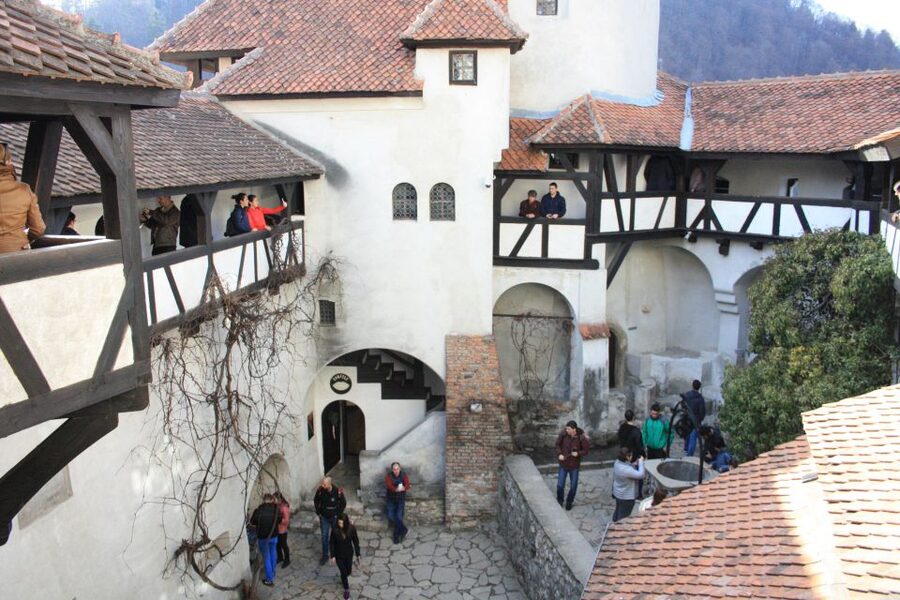From Bucharest: Bear Sanctuary and Dracula Castle Day Tour - Who should book this tour?