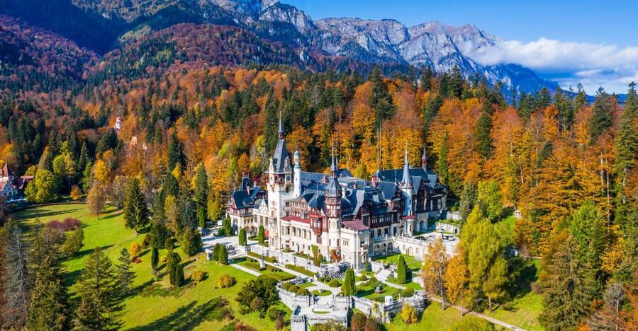From Bucharest: Bran, Peles Castle & Brasov Private Day Tour - What the private guide adds