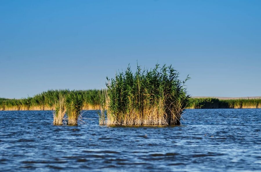 From Bucharest: Day Trip to Danube Delta - The 4.5-hour boat ride through the reserve
